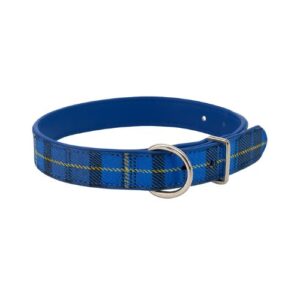 Collar escocés azul 20mmx43cm