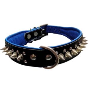 Collar pinchos negro-azul 50cm