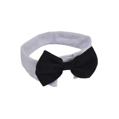 Pajarita negra con cuello de camisa para perros y gatos S