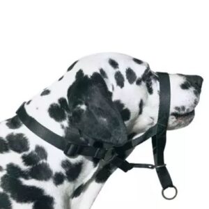 Bozal guiador Easy Leader S