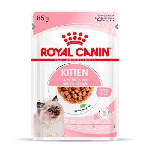 Kitten royal canin húmedo 85g