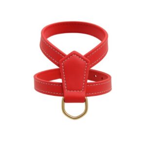 Arnés piel rojo liso 26cm