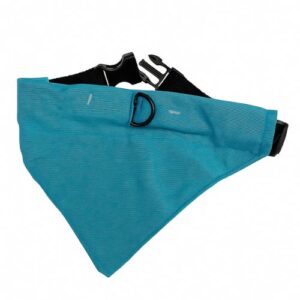 Collar con bandana celeste