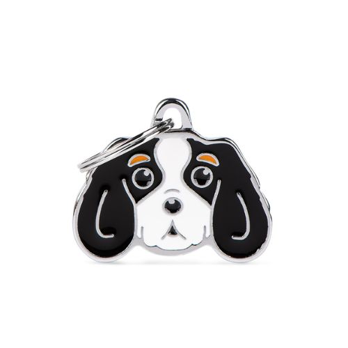 Chapa identificativa Cavalier King tricolor
