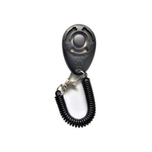 Clicker adiestramiento para perros con pulsera