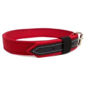 Collar para Mastínes y perros gigantes 40mmx90cm