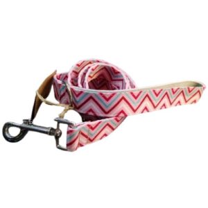 Correa Welpen colores 25mmx118cm