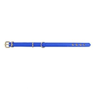 Collar piel azul nou 30cm