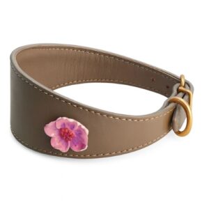 Collar galgo piel flor