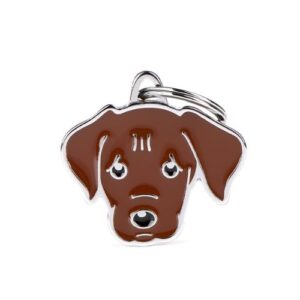 Chapa identificativa Labrador chocolate
