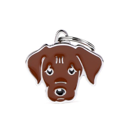 Chapa identificativa Labrador chocolate