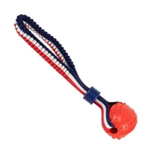 Juguete lanzador elástico con pelota 6.5*24cm / 7*26cm