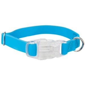 Collar azul de goma con led L-XL