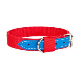 Collar para Mastínes y perros gigantes azul 40mmx80cm