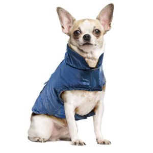 Anorak metalizado azul 40cm