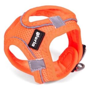 Arnés naranja fluor Gloria Trekstar XS