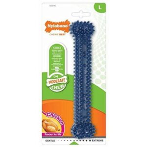 Nylabone flexible con sabor a pollo L
