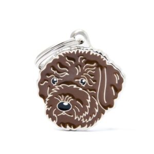 Chapa identificativa Perro de aguas marrón