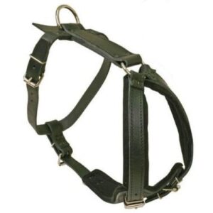 Arnés piel perro grande 100cm