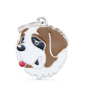 Chapa identificativa San Bernardo