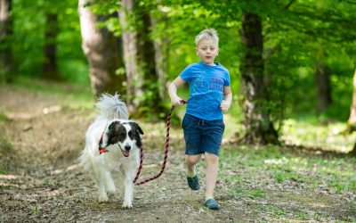 5 Actividades al aire libre con tu perro en Oviedo