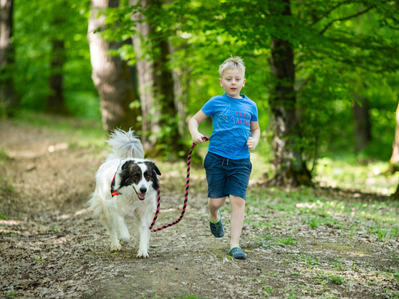 actividades al aire libre con tu perro en Oviedo