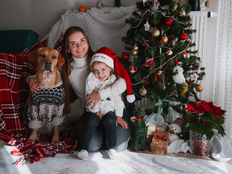 regalos de navidad para mascotas