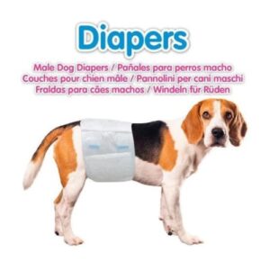 Pañales para Perros Macho: Solución práctica para mantener la higiene de tu mascota y tu hogar. Cómodos, seguros y fáciles de usar, perfectos para perros con incontinencia o en entrenamiento.