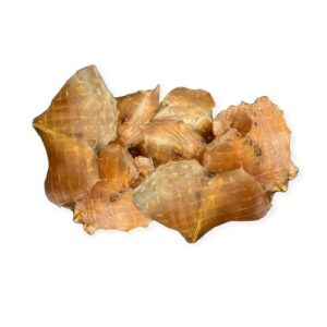 Snack natural de alas de pota 60g