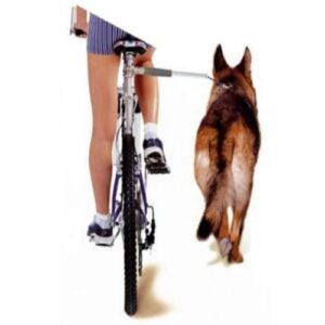 Sujeccion para bicicleta