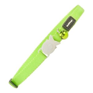 Collar verde con cascabel para gato
