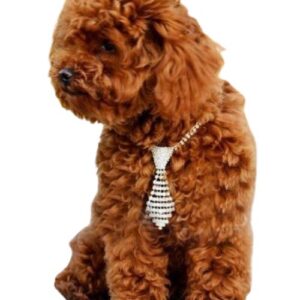 Corbata perro cristales