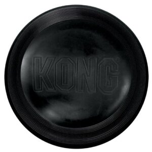 Disco negro KONG L