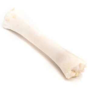 HUESO DE CALCIO-FEMUR
