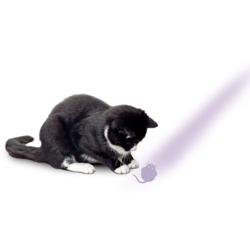 Láser led con diseño ratón - Imagen 2