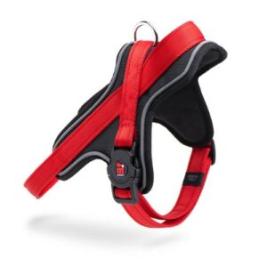 Arnés sport Memopet rojo L