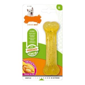 Hueso mordedor Nylabone sabor pollo S
