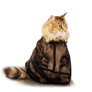 Bolsa sujeta gato baño