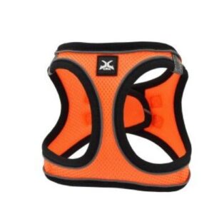 Arnés naranja neón XTRM XS