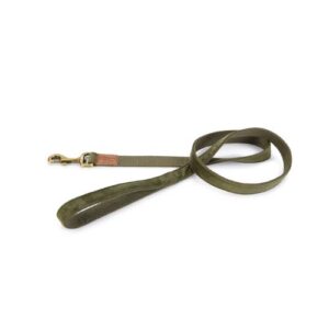 Correa velura verde 20mmx120cm