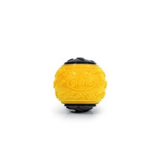 Pelota Mega Squeaquer ball