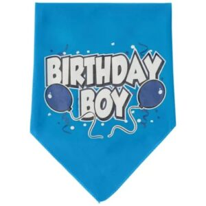 Pañuelo de Cumpleaños "Birthday Boy" S