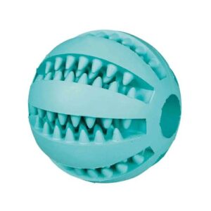 Pelota dental menta 5cm
