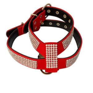 Arnés de piel rojo con brillos