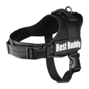 Arnés Best Buddy negro S 50-70cm x 25mm