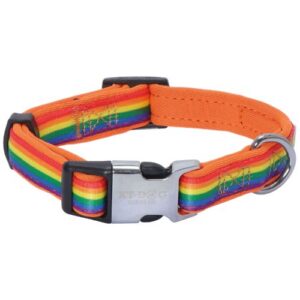 Collar arcoiris de neopreno con cierre metálico M 20mm