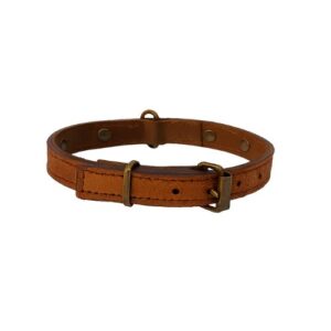 Collar de piel marrón brillante 15mmx37cm