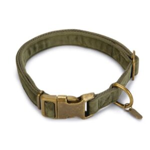 Collar Velura verde S 15mmx26x40cm
