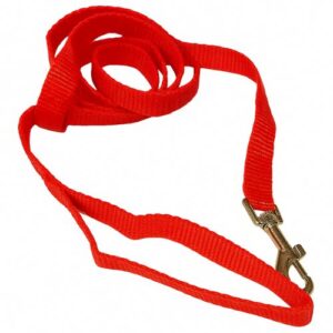 Correa roja de nylon 15mmx127cm