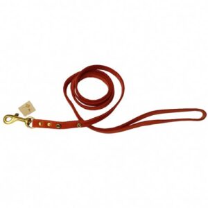 Correa de ante colore teja 10mmx105cm